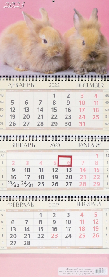 Друзья (фото). Календарь настенный на 2022 год (300х300 мм)