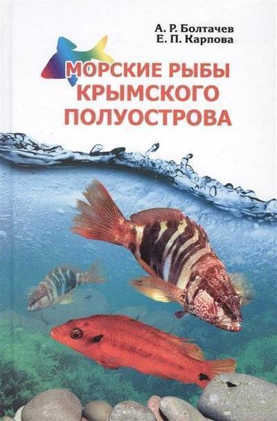 морские рыбы крымского полуострова болтачев. Смотреть фото морские рыбы крымского полуострова болтачев. Смотреть картинку морские рыбы крымского полуострова болтачев. Картинка про морские рыбы крымского полуострова болтачев. Фото морские рыбы крымского полуострова болтачев