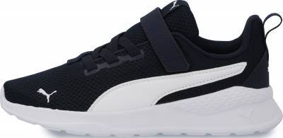 puma anzarun