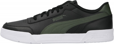 puma caracal