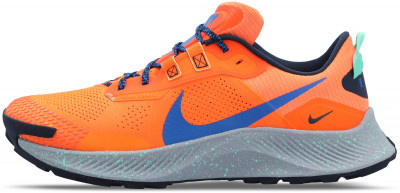 nike pegasus trail 43