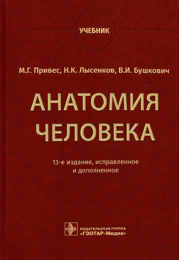 Анатомия Человека. Учебник (Привес Михаил Григорьевич, Лысенков.