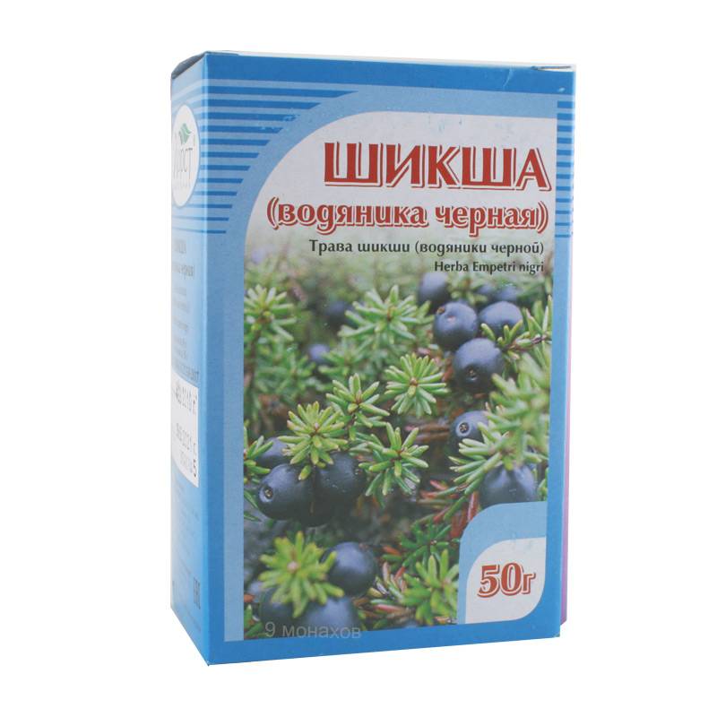 Как выглядит растение шикша Шикша (водяника черная) трава 50 г. Хорст купить за 103 руб в Петропавловске-Кам