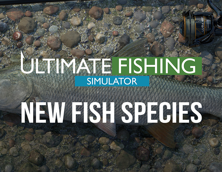https://cdn.skidka-msk.ru/images/prodacts/sourse/104643/104643071_ultimate-fishing-simulator-new-fish-species-pc-games-s-a-.jpg