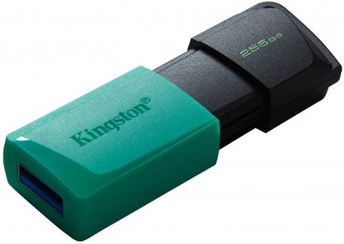 Kingston DTXM/256GB (черный) купить от 1680 руб в Старом Осколе, сравнитьцены, отзывы и характеристики - SKU11366655