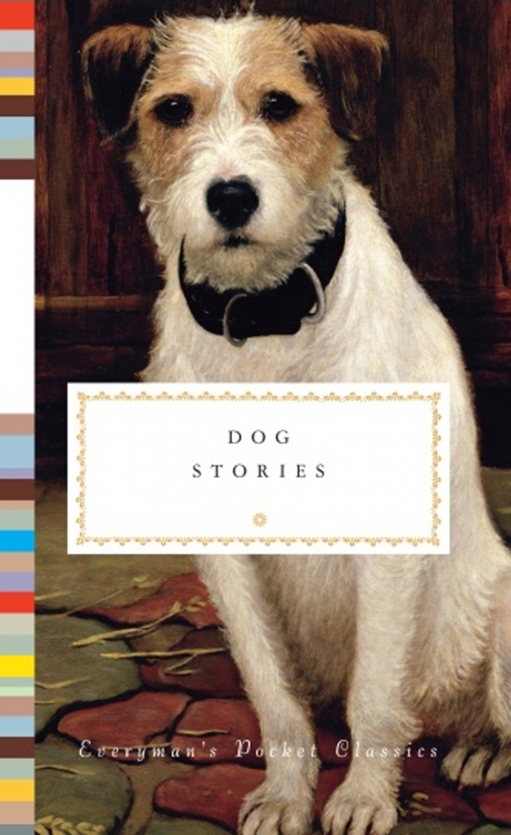 Три минуты ради собаки книга. Dog stories картинки. Dogs stories купить. Dogs stories купить Ланге. Cookbook Dog.