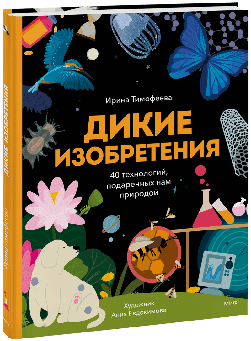 Дикие изобретения! (Ирина Тимофеева, Евдокимова Анна) Миф (ISBN  978-5-00214-092-3978-5-00214-092-3) где купить в Старом Осколе - SKU14702459