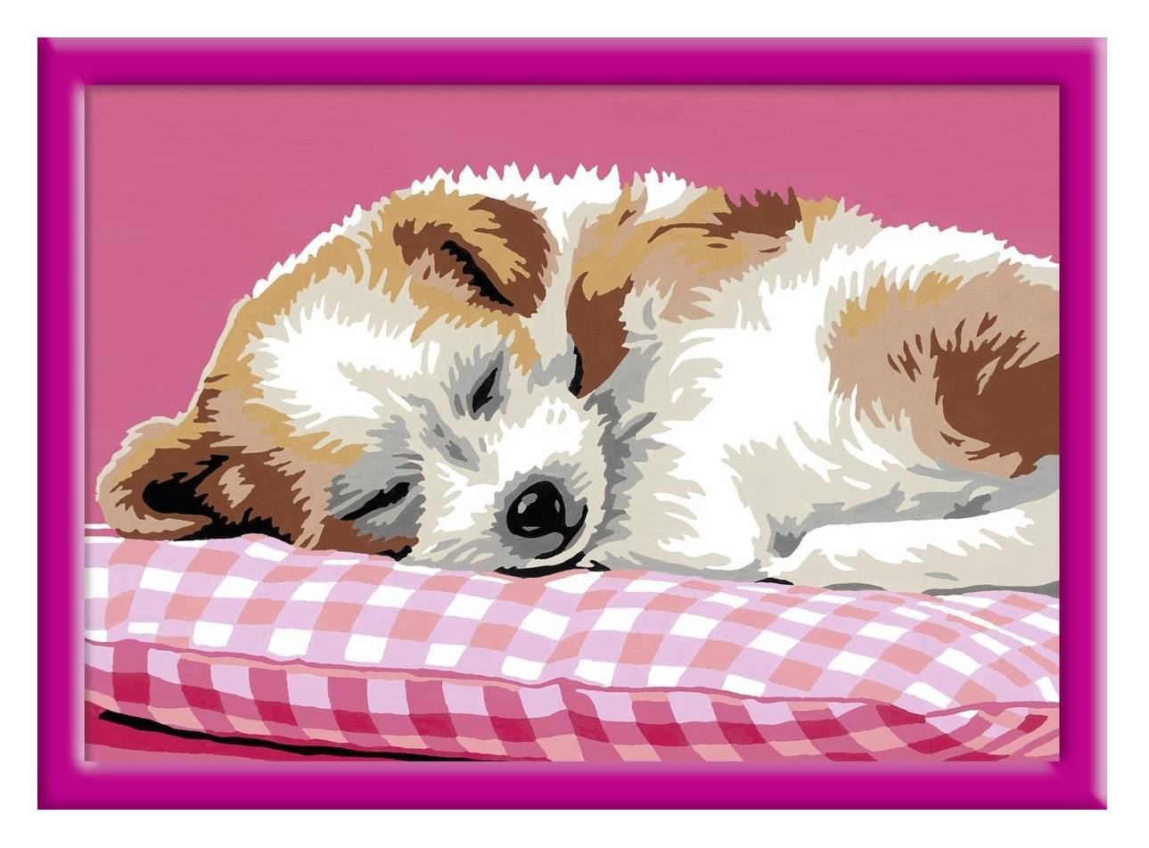 Картина купили щенка. Щенок иллюстрация. Нарисованный спящий щенок. Рисунок спящей собаки. Спящий щенок картина по номерам.