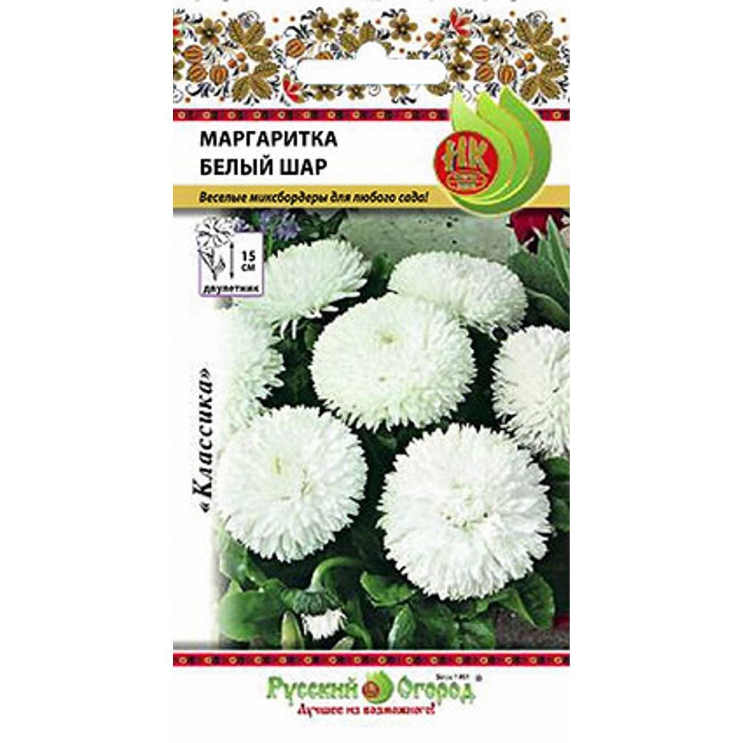 Маргаритки Семена Купить