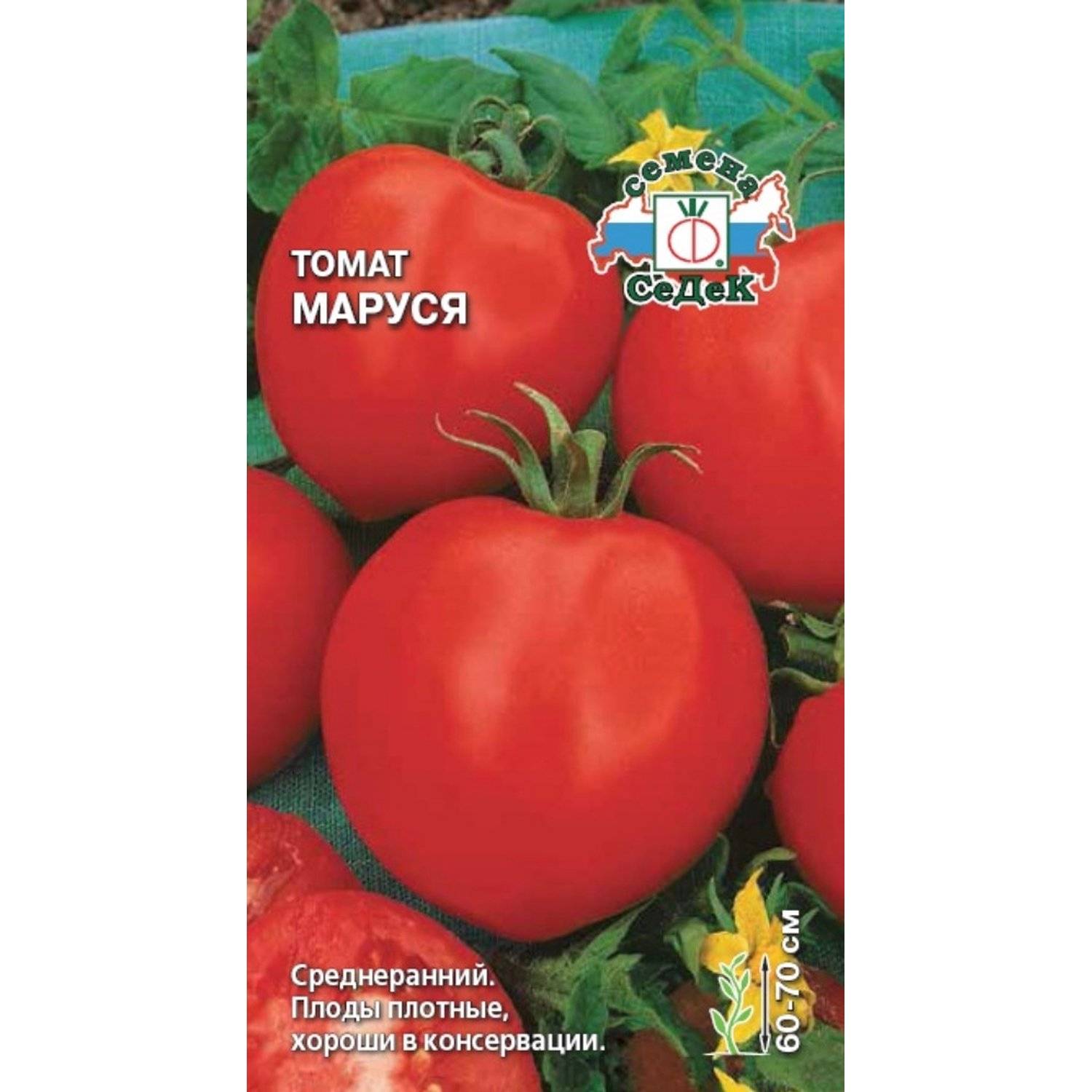 помидоры маруся фото