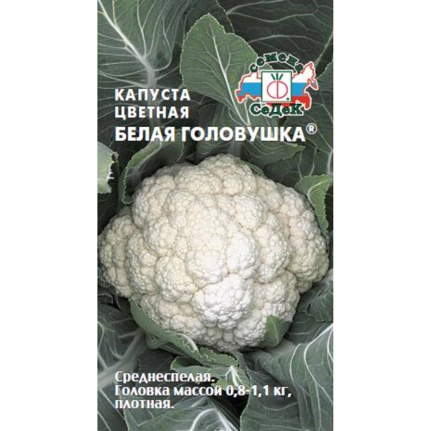 Капуста Белая головушка СеДек где купить в Старом Осколе, отзывы -  SKU1366928