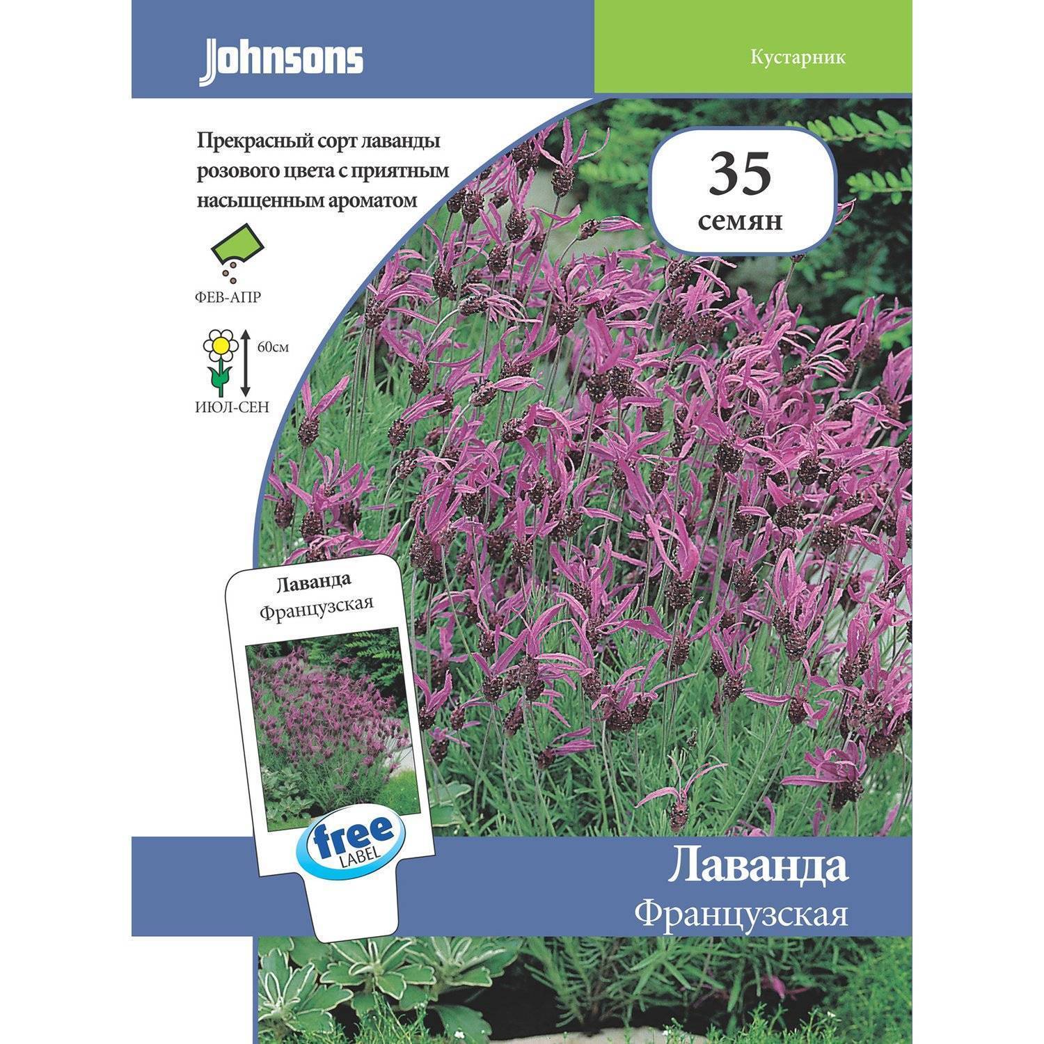 Семена лаванда интернет магазин. Семена лаванды Манстед от Джонсон. Семена Лаванда джонсонс. Лаванда розовая семена. Johnsons семена лаванды.