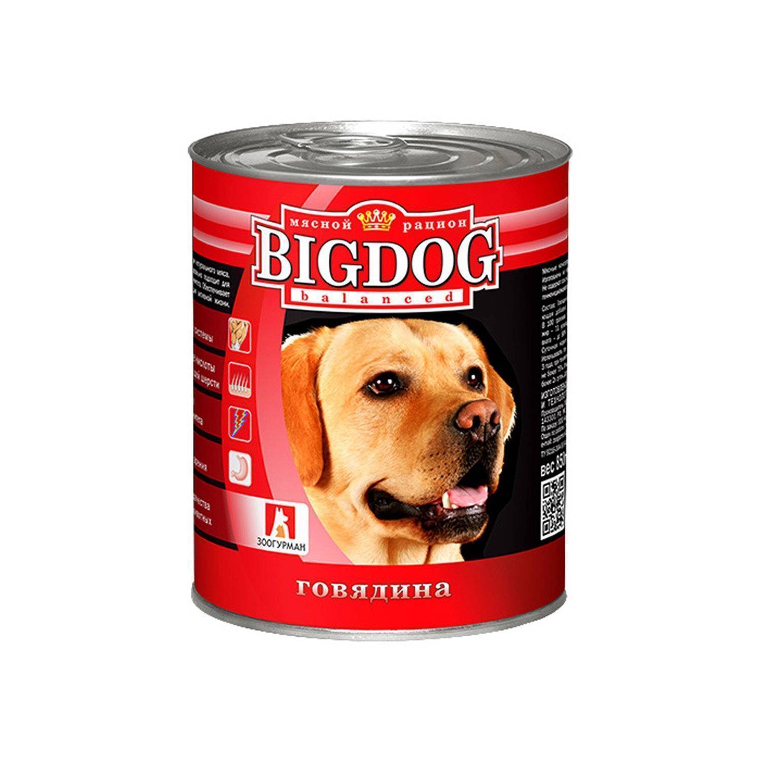 Зоогурман для собак. Зоогурман "big Dog" мясное ассорти ж/б 850гр. Зоогурман big Dog конс д/соб. Зоогурман "big Dog" влажный корм для взрослых собак, говядина. Корм ZOOGURMAN Д/собак говядина 85 г.