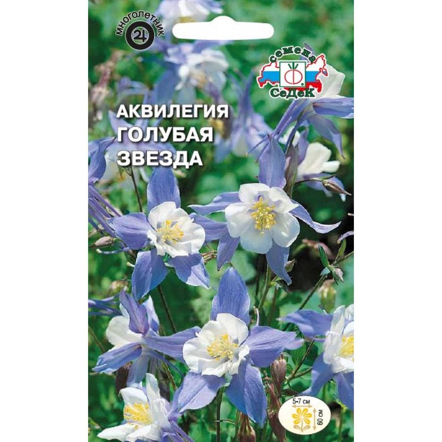 Аквилегия Купить