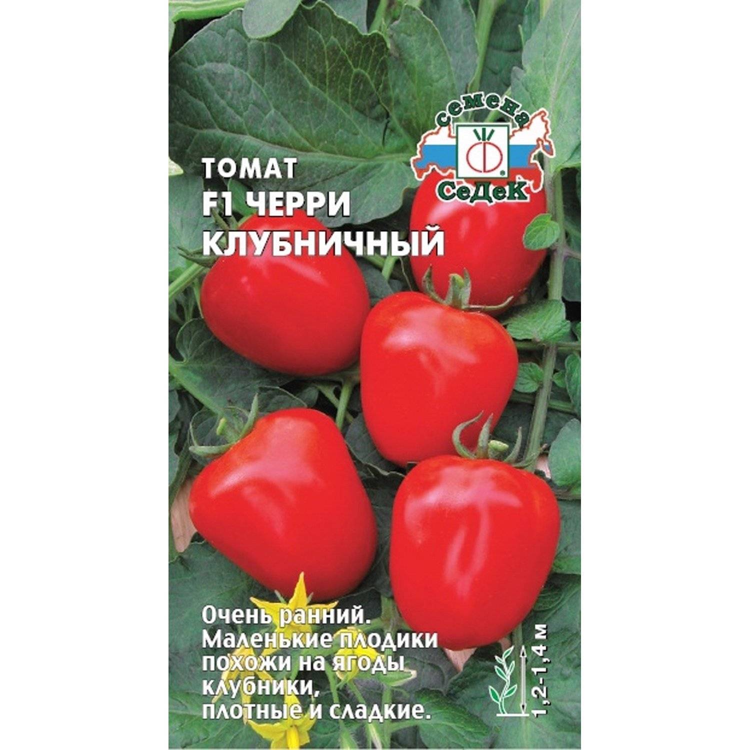 томат седек отзывы фото урожайность