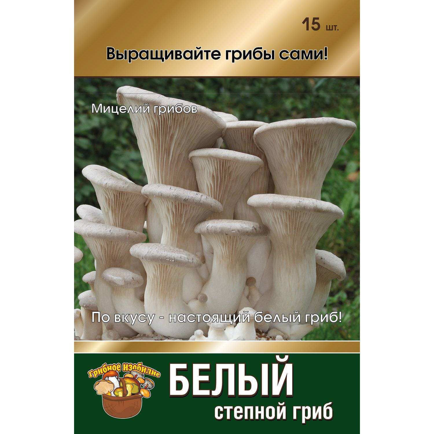 Мицелий грибов белый гриб