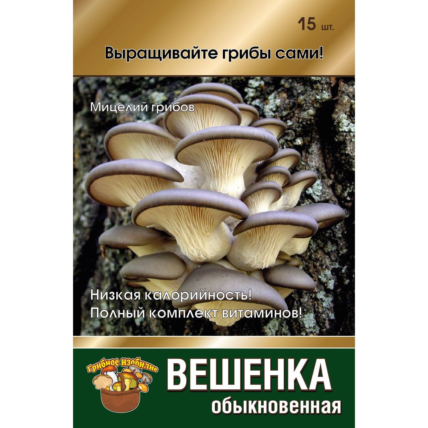 Сколько стоят вешенки. Семена мицелия вешенки. Мицелий грибов вешенка. Мицелий вешенки. Мицелий вешенка обыкновенная.