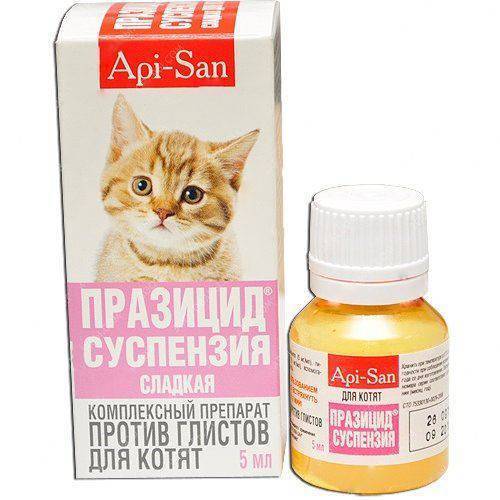 Антигельминтик для котят АПИ-САН Плюс празицид-суспензия 5мл купить за 145  руб в Старом Осколе - SKU520377