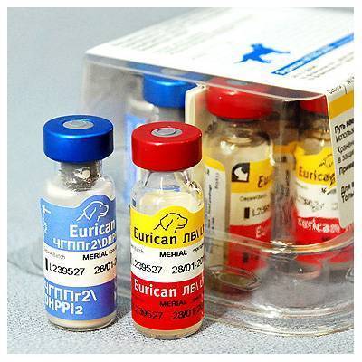 Купить вакцину эурикан в москве. Эурикан Lepto для собак. Эурикан ЛР. Эурикан вакцина. Эурикан вакцина для собак.