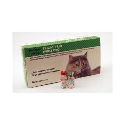 Купить вакцину для кошек в спб. Вакцины для кошек. Вакцина для кошек Intervet Нобивак для собак. Американская вакцина для кошек. Фелоцел для кошек.
