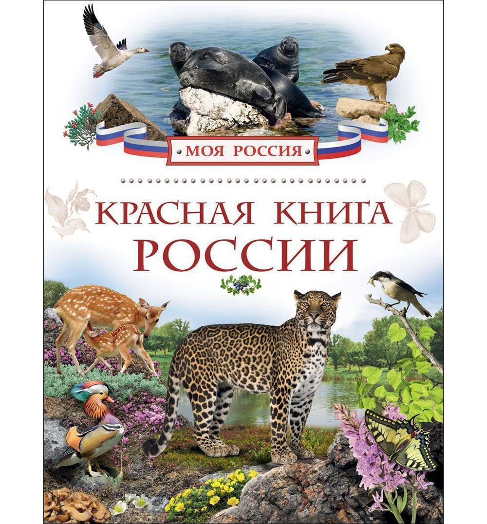 Обложка красной книги. Травина и. 