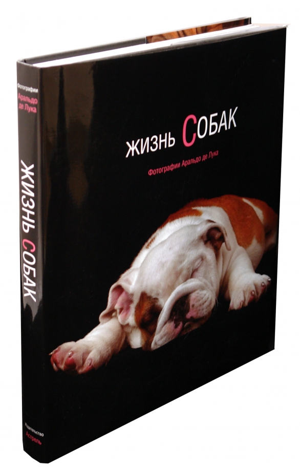 Жизнь собаки книга. Книга жизнь собаки. Книги про собак. Книга с собакой на обложке. Собачья жизнь книга.