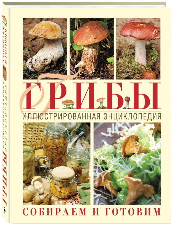 Как и сколько грибник Дмитрий Тихомиров зарабатывает на грибах