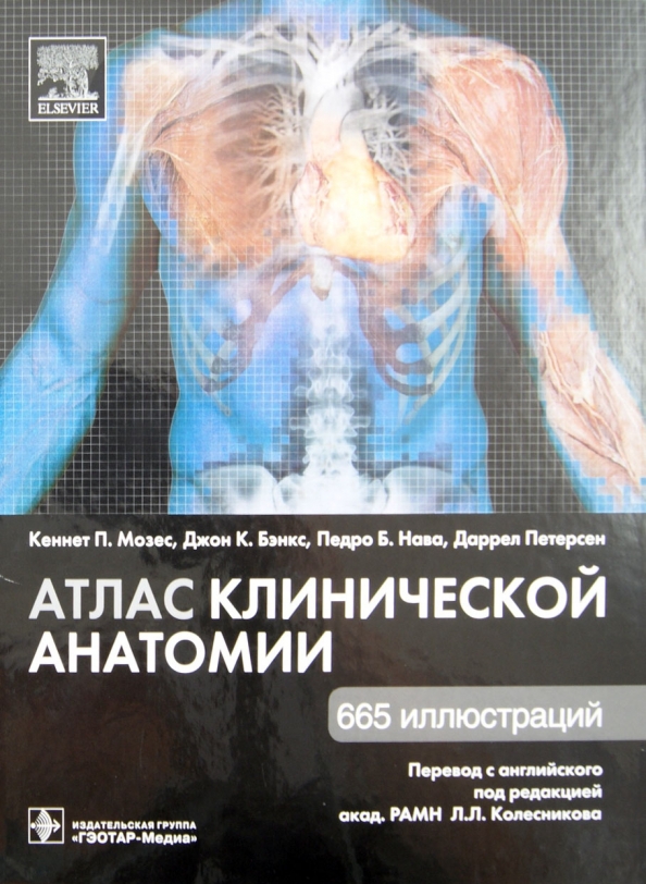 Клиническая анатомия. Атлас клинической анатомии Кеннет п. Атлас клинической анатомии Мозес. Атлас клинической анатомии Кеннет п Мозес иллюстративная. Атлас клинической анатомии Колесникова.