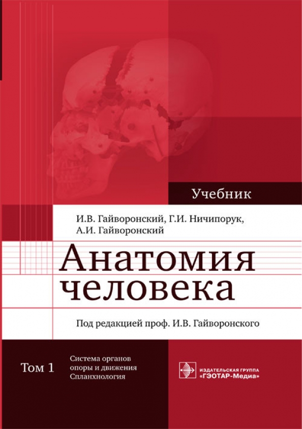 Гайворонский анатомия пищеварительной