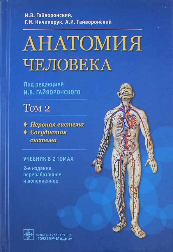 Анатомия в 2 томах. Гайворонский Ничипорук анатомия человека. Анатомия человека Гайворонский том 1. Анатомия человека : учебник : в 2 т. Гайворовский. Гайворонский анатомия человека том 2.