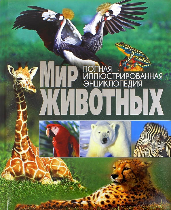 Книга мир животных. Книга мир животных 3 д. Книга мир животных 3 д цена.