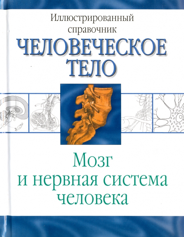 Книга тело мозг. Мозг и тело книга. Человеческое тело иллюстрированный справочник Тони Смит.