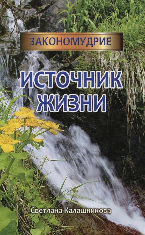 Источник жизни книги. Источник книга. Книга источник жизни. Источник книга обложка.