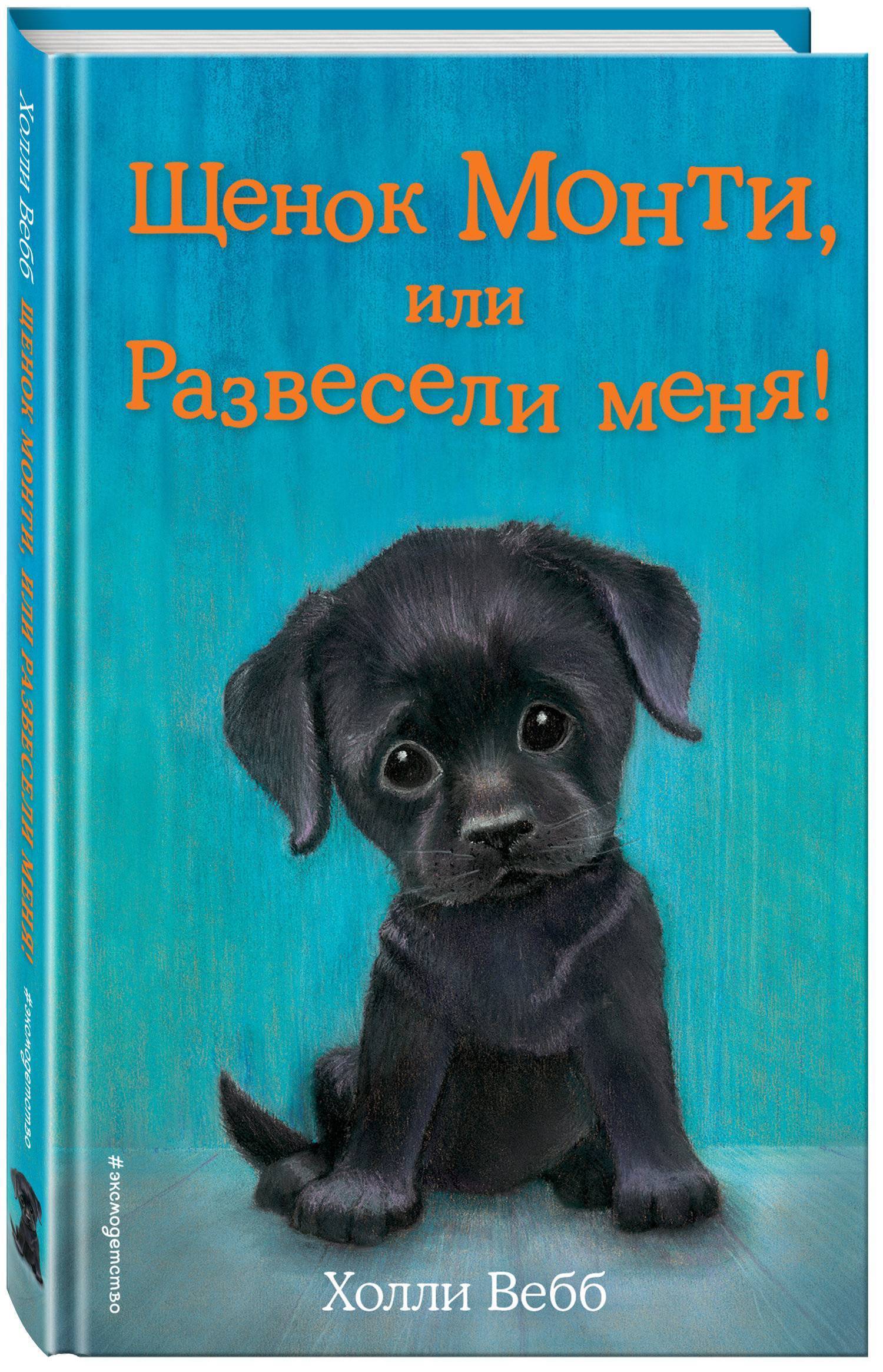 Щенок Монти или Развесели меня! (Вебб Холли , Вильямс Софи (иллюстратор),  Тихонова Анна Алексеевна (переводчик)) Эксмо (ISBN 978-5-04-091874-4) где  купить в Старом Осколе, отзывы - SKU2412264