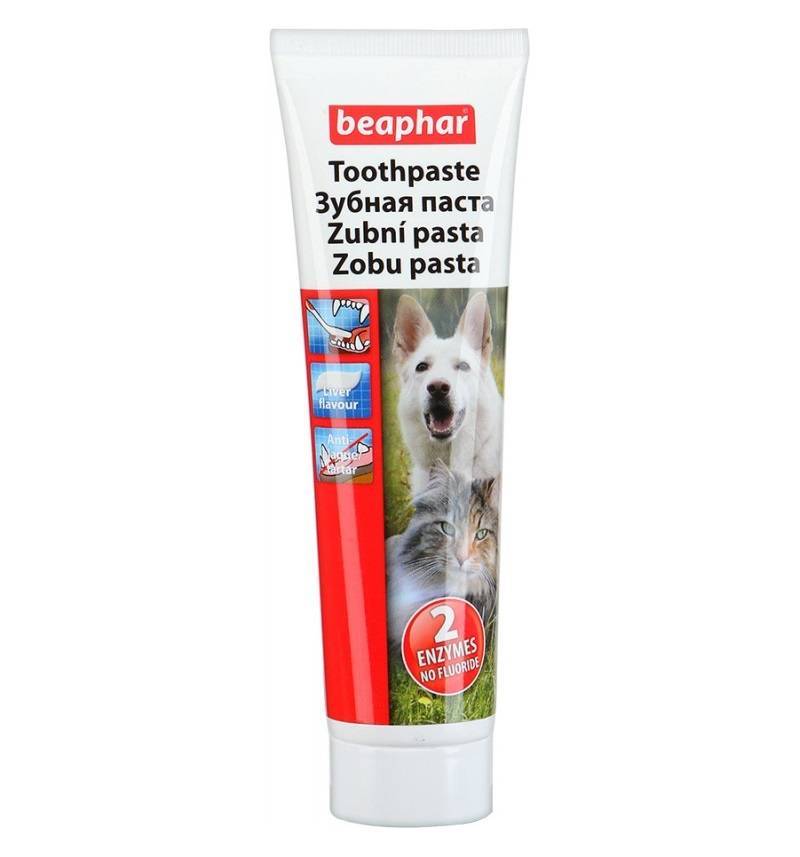 Зубные пасты для собак и кошек. Beaphar Toothpaste. Зубная паста для собак. Зубная паста для кошек. Зубная паста для собак со вкусом.