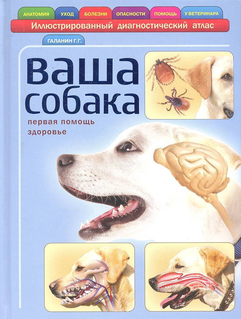 Купить Книгу Собачья Смерть