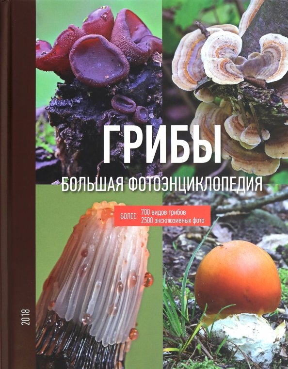 Где Купить Книги Про Грибы