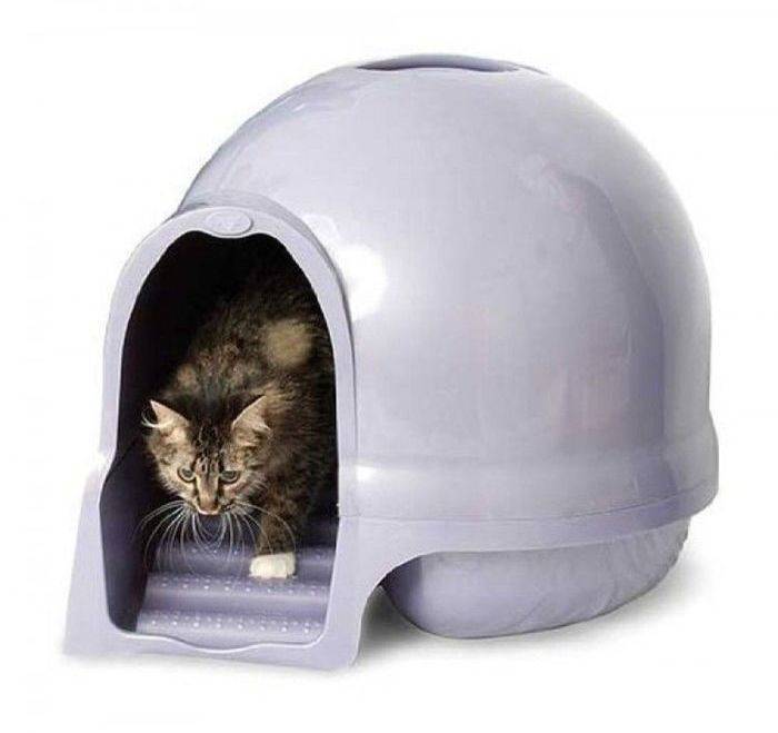 booda dome cat box