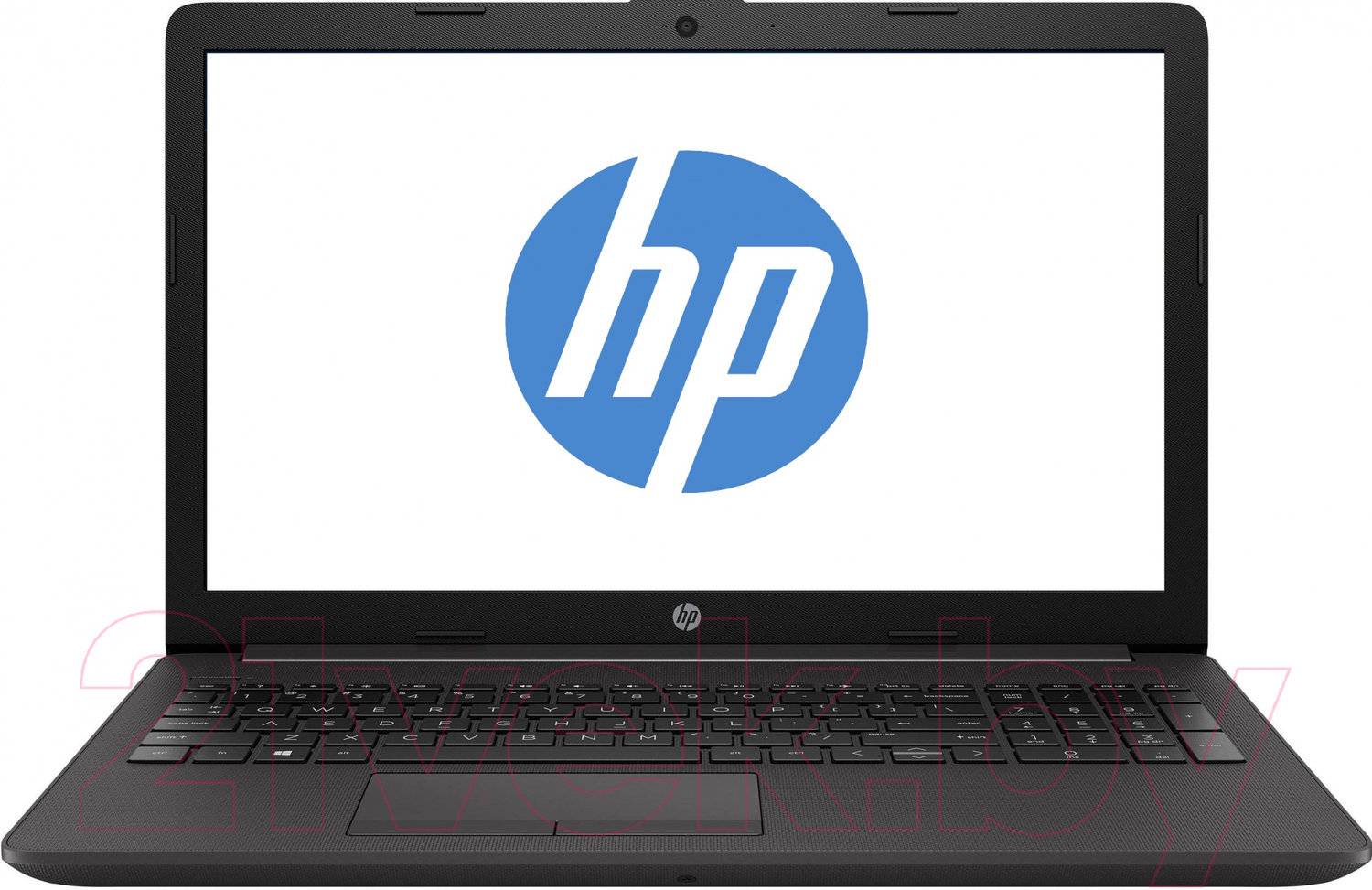 Купить Ноутбук Hp 255 G7 В Рыбинске