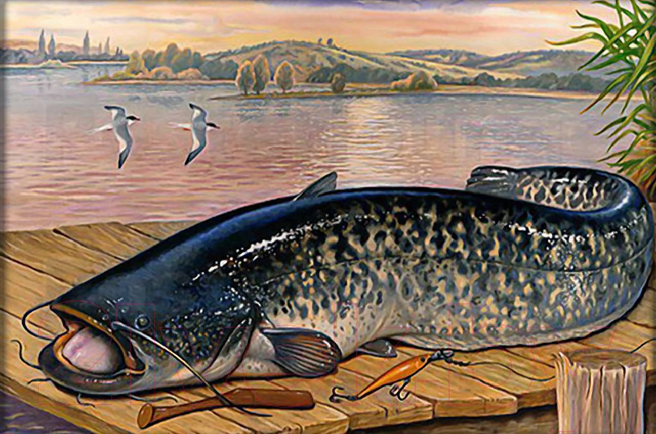 Рыба сом на картинах художников