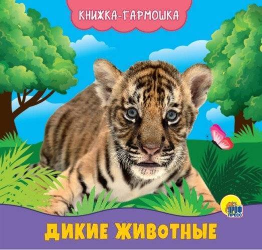 Мастер-класс Складная книга своими руками