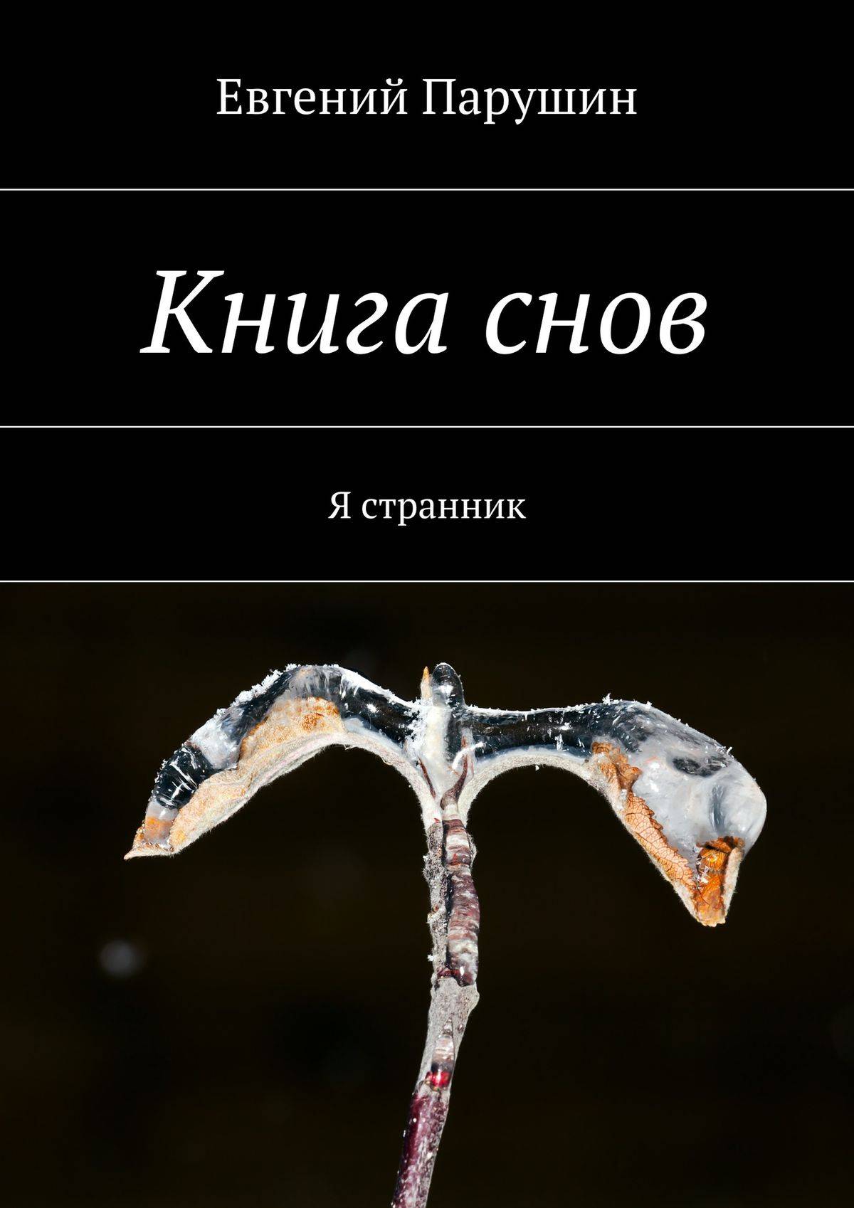 Книга снов. Сны о снах книга. Книга снов Евгений Парушин книга. Книга снов страницы.