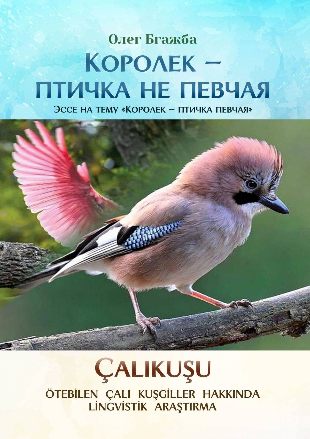 Королек птичка певчая книга отзывы. Птичка певчая книга. Королёк птичка певчая книга. Книга певчие птицы. Книга Королек птичка книга.