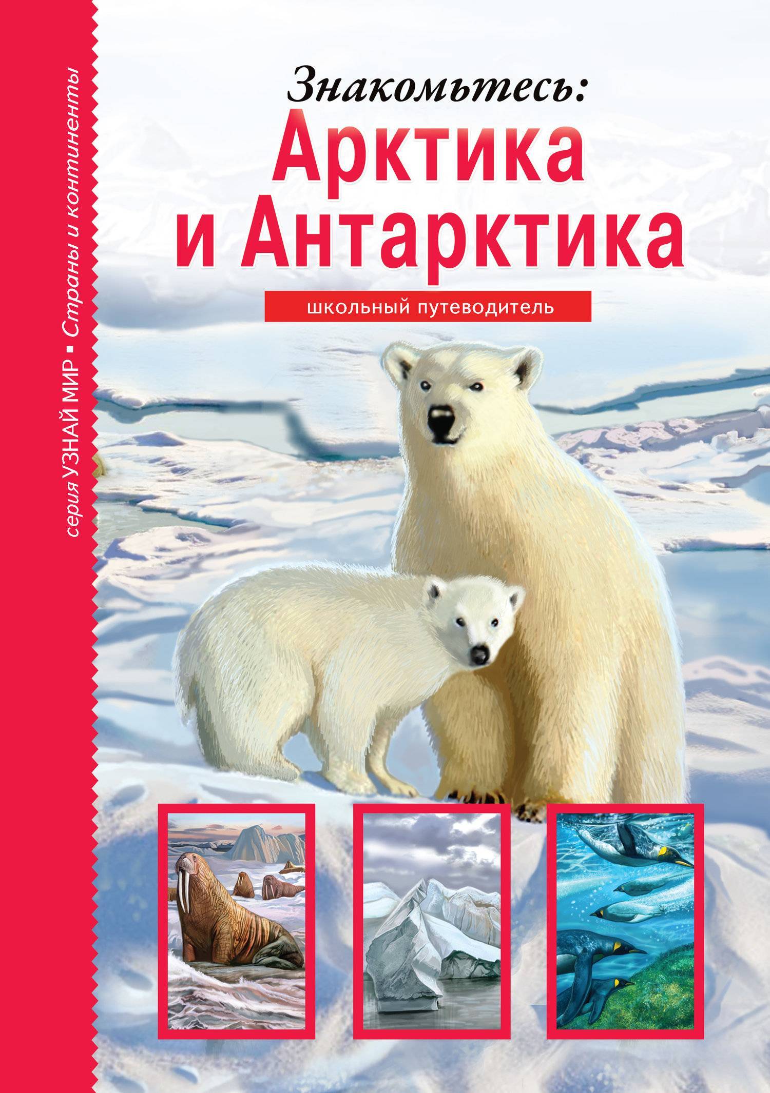 Арктика книга. Арктика и Антарктика школьный путеводитель. Арктика и Антарктида книга. Книги про Арктику. Книги про Арктику для детей.