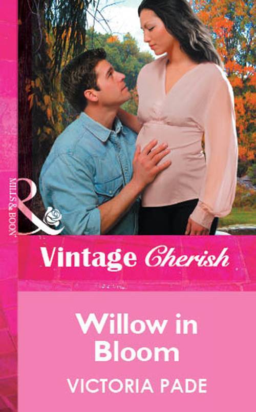 Эль ива книги читать. Willow книга. Willow books 2.