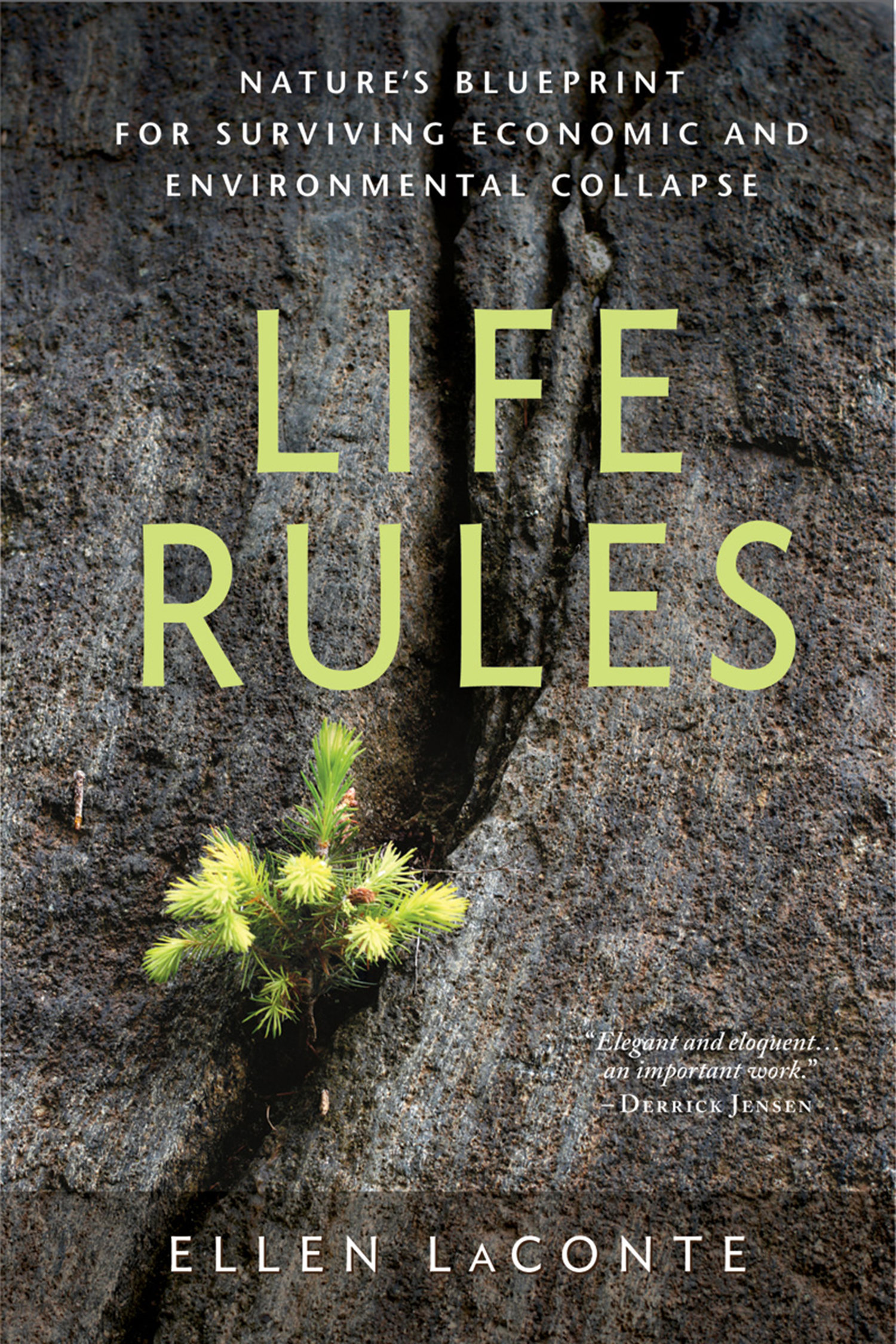 Life rules way. Rules of nature. Rules of Life. The book of Life. 13 Rules of Life.