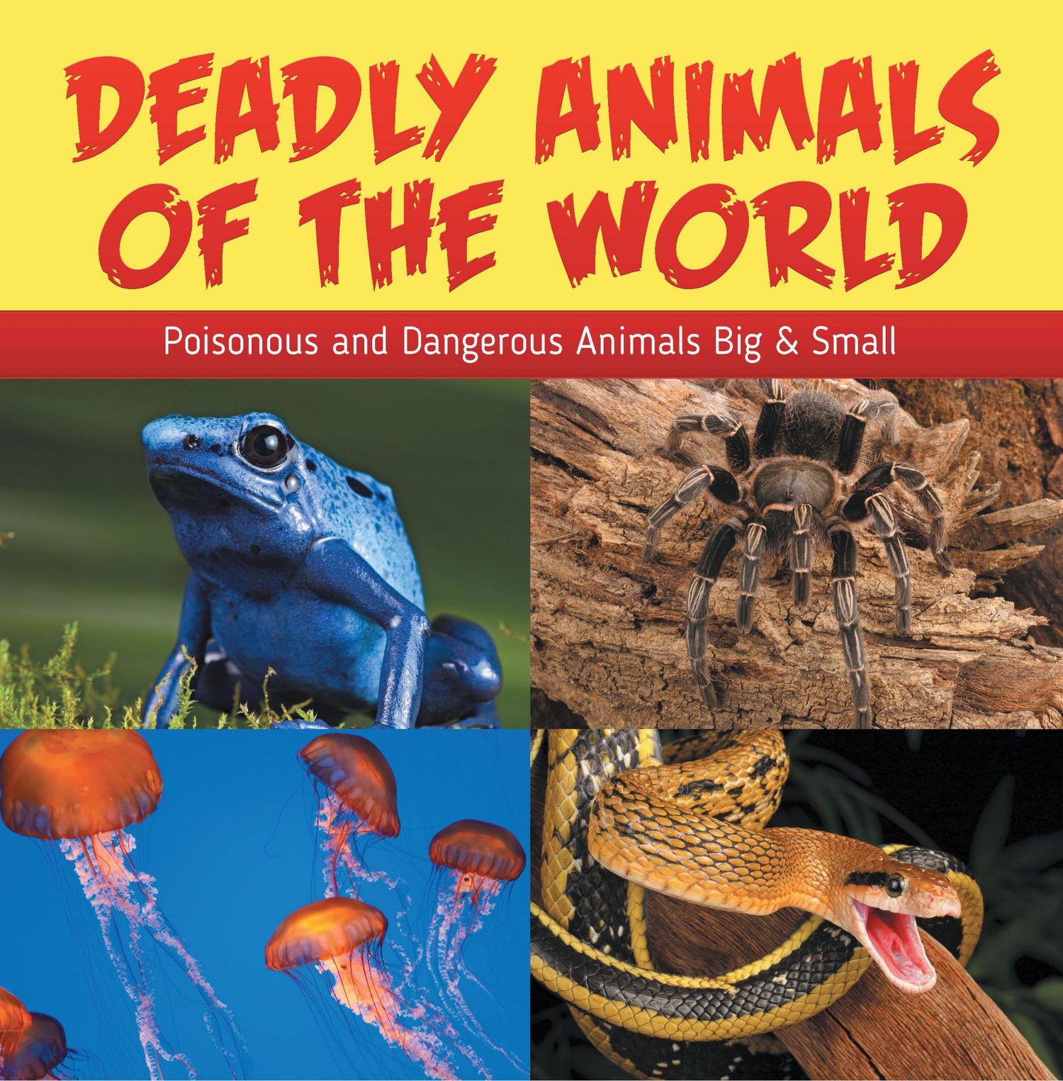 The most dangerous animal. World's Deadliest animals. @ Poisonous World. The most Dangerous animal of all книга. Reading Dangerous animals of the World reading.