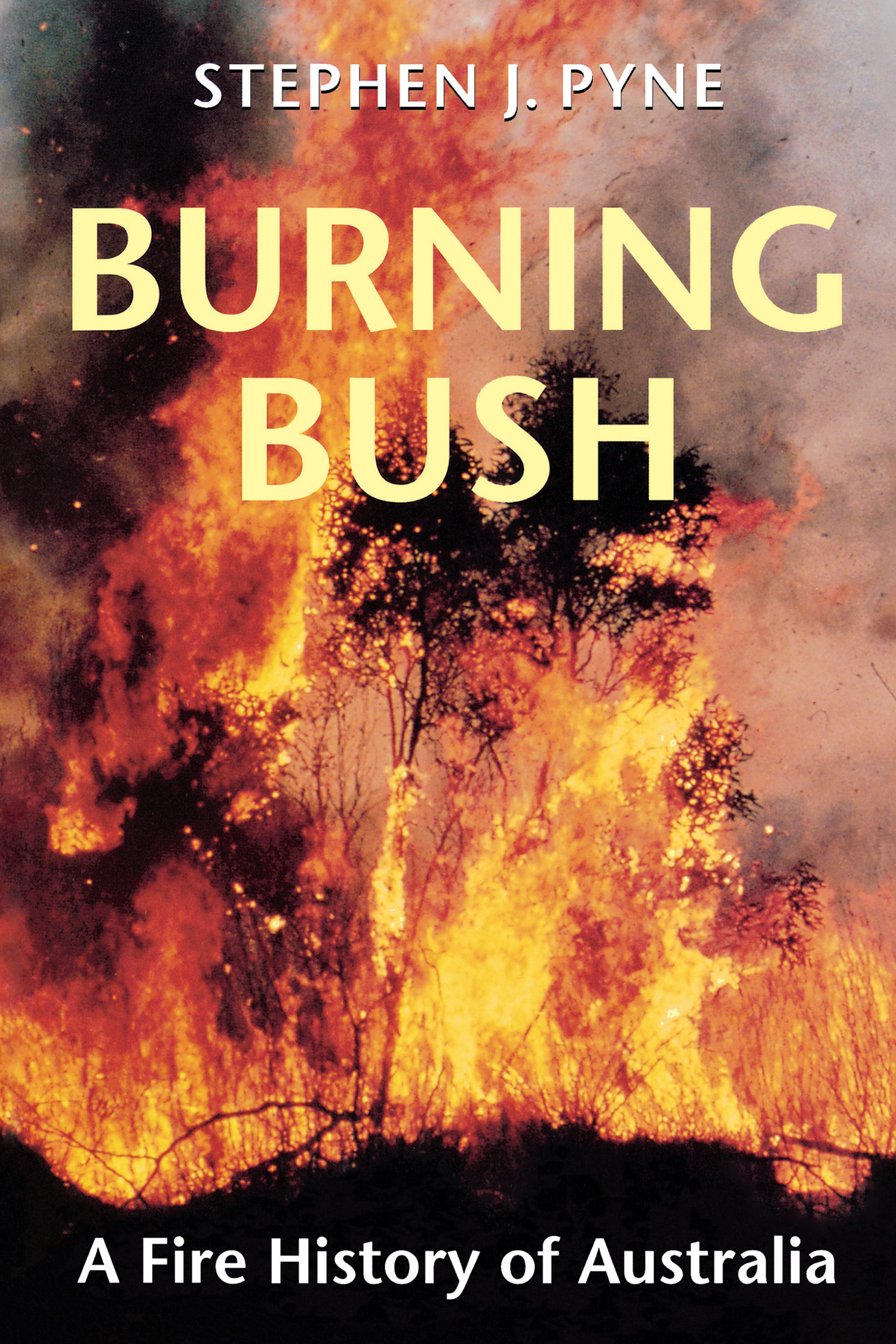 Burning bush. Burning Bush перевод. Historical Fire.