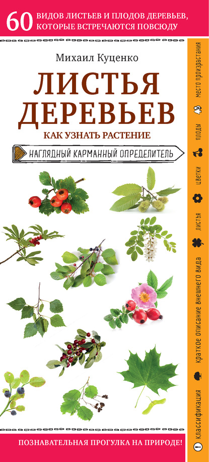 Самые уникальные деревья в природе