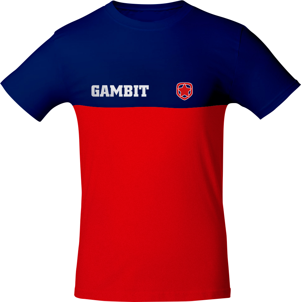Gambit esports